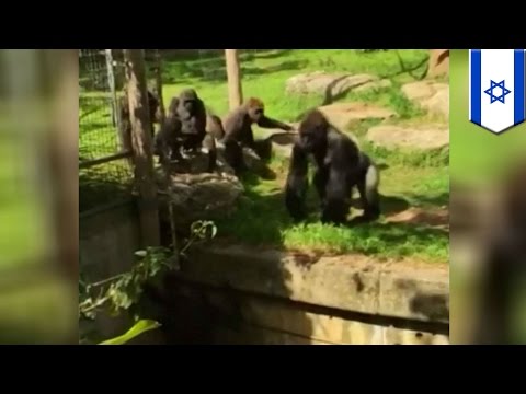 Powiększanie penisa sposoby ludowe Powiększenie penisa Soczi