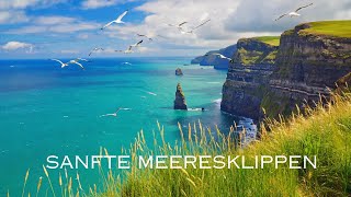 Sanfte Meeresklippen mit Möwen –2 Stunden Entspannende Meeresgeräusche für Ruhe und Gedächtnispflege