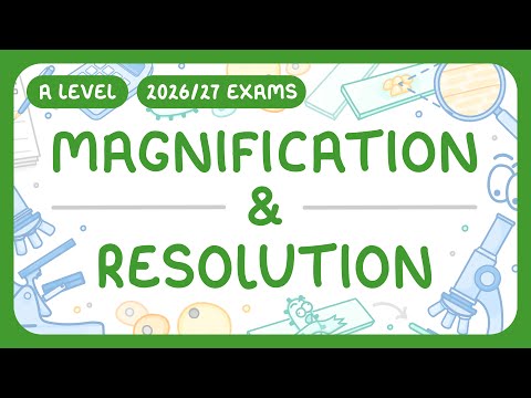 A-Level Biology - Magnification & Resolution - Object & Image | Calculations (2026/27 exams)