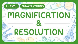 A-Level Biology - Magnification & Resolution - Object & Image | Calculations (2026/27 exams)