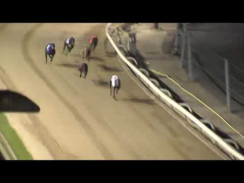 2021 GEORGE ING ST LEGER FINAL - T3 BLUE TICK GEORGE