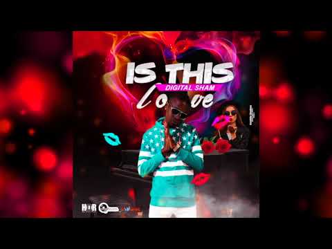 DIGITAL SHAM - IS THIS LOVE  - 2018