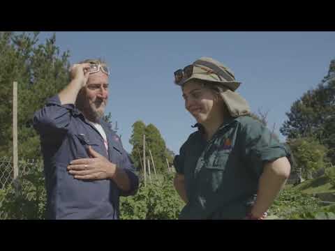 The Garden (Voices of the Valley)