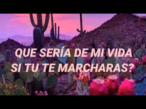 Hasta la miel amarga - Tiranos del norte (letra)