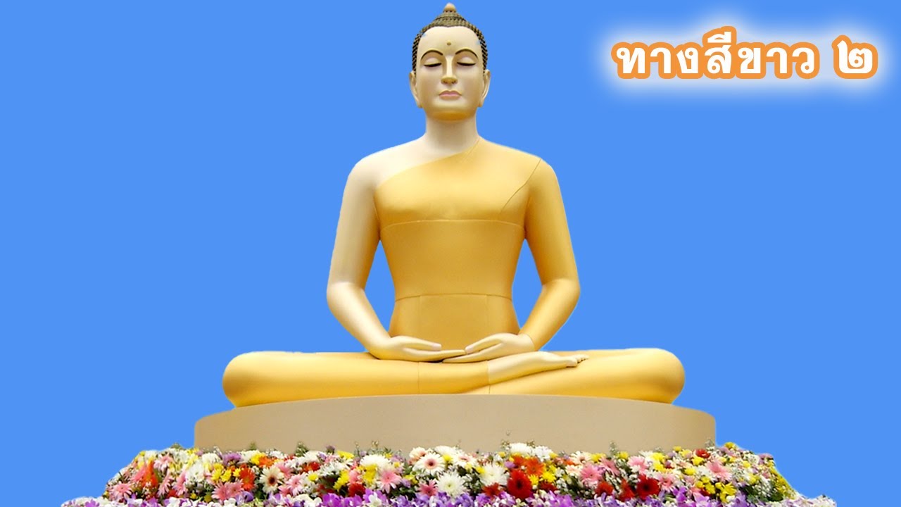 รูปภาพ นั่งสมาธิ Photomeditation ดาวโหลด Google Youtube SEO