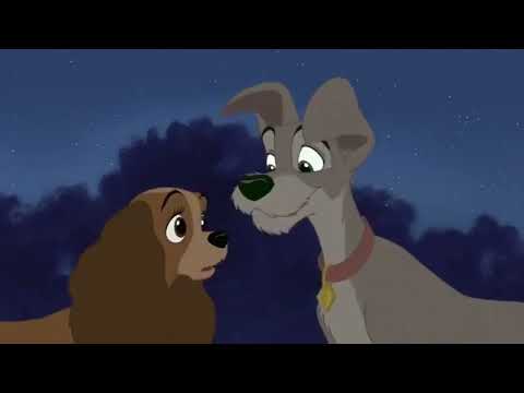 Lady and the Tramp 2 but it’s just Lady