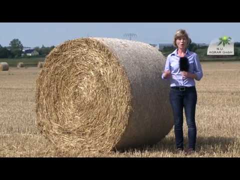 130. Feldexkursion: Strohabfuhr & Rapssaat - NU Agrar, 07.08.2019