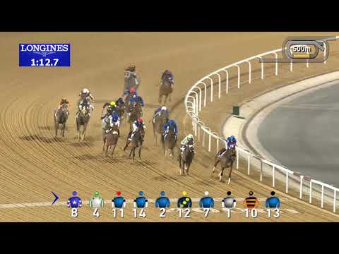 Race 2 UAE 1000 Guineas Sponsored By DP World UAE Region