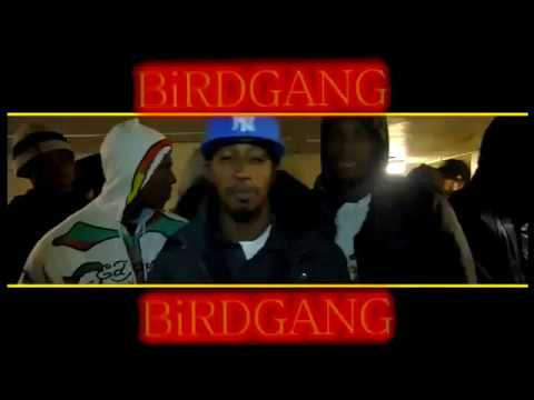 BIRDGANG FREESTYLE   HG TV