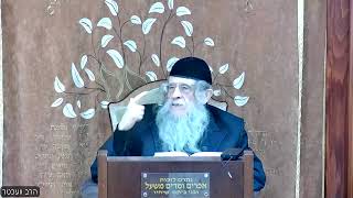 שיעור יום ד ניסן תשפה חלק ב   תניא פרק מז חלק ב (הרב אברהם מנחם מענדל וכטר) - התמונה מוצגת ישירות מתוך אתר האינטרנט יוטיוב. זכויות היוצרים בתמונה שייכות ליוצרה. קישור קרדיט למקור התוכן נמצא בתוך דף הסרטון