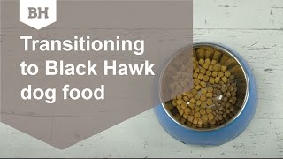 black hawk adult lamb and rice 20kg
