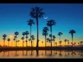 Flatbush ZOMBiES Palm Trees Produced By Erick Arc Elliott
