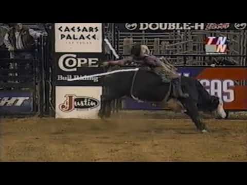 Tuff-E-Nuff bucks Cody Hart - 01 PBR Worcester