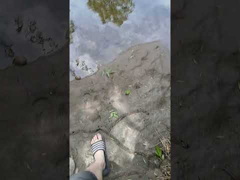 Rio de los Sauces , Córdoba #calamuchita #summertime