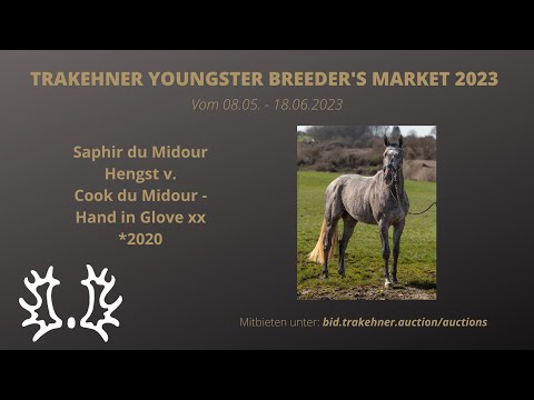 Saphir du Midour v. Cook du Midour - Hand in Glove xx *2020 - geritten