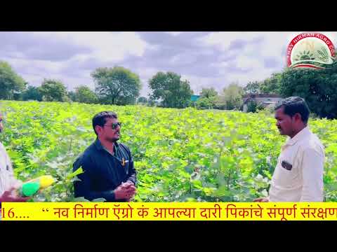 Liquid Best Ad Plant Growth Regulator, 1 L, Bottle