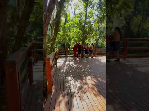 Analândia SP: Cachoeira da Ponte Amarela + Restaurante em Meio à Natureza  #travel