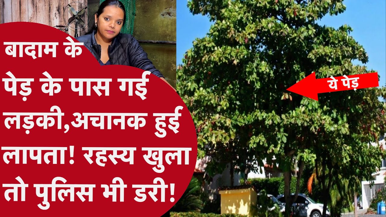 Maharashtra: बक्से में थी लाश, क़ातिल बगल में सो रहा था! रेप-मर्डर का कनेक्शन इस पेड़ से जुड़ा निकला