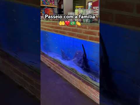 Pesqueiro Alvorada em Cedral com mamãe e tio Divino @ivanamaraafalco