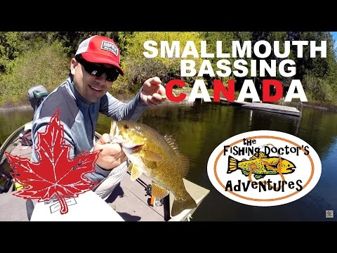 How to Drop Shot Smallmouth Bass Fishing BC Canada