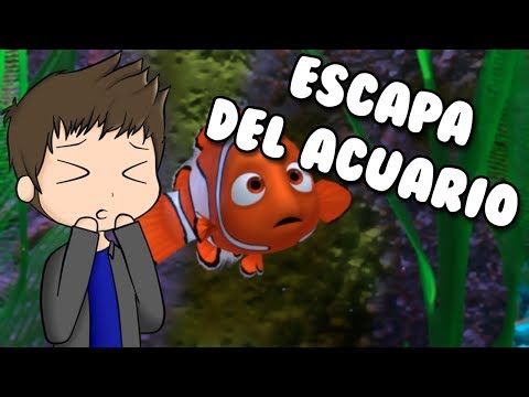 Descargar Escapa Del Acuario Roblox Escape The Aquarium - roblox escape the aquarium obby