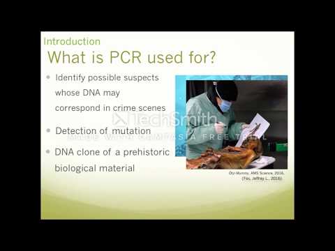 BCM201 Group Assessment. Use of PCR in Science