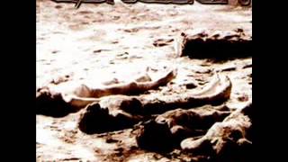 Eisregen - Feindbild Mensch.flv