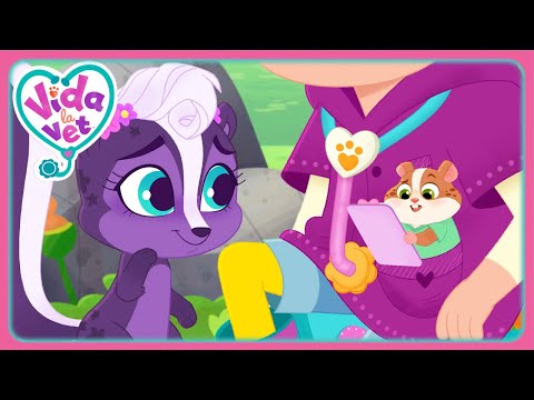 El rocío de mofeta de ZigZag | Vida, la veterinaria | Dibujos animados para niños