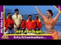 Eecha Eechambazham Video Song Vivaramana Aalu Movie Songs Sathyaraj Mumtaj Devayani