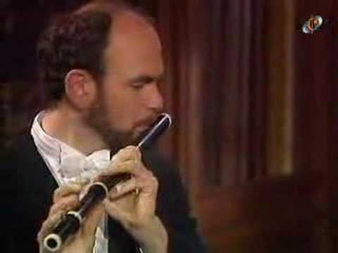 Bach - Bwv1067 Orchestral Suite - 07 - Badinerie