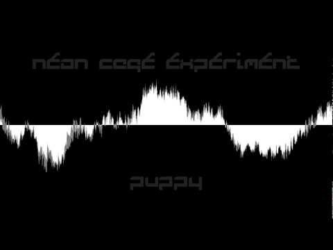 Neon Cage Experiment - Puppy