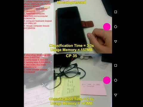 GoogleNet Compression