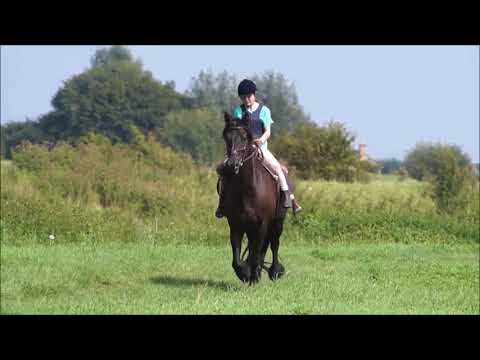 Flying Through the Seasons