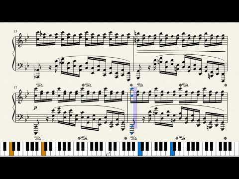 Raizel Etude Piano Performance Video