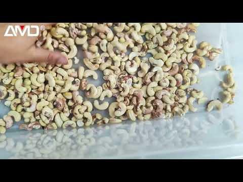 AMD Cashew Sorting/Sorter/Sortex Machine for Demo with P-LGS4 model