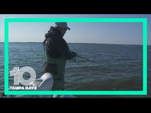 Tennessee Fishing License For Seniors and Similar Products