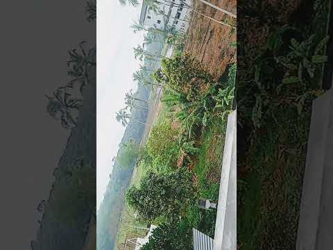 A rainy day and my nature 😘😘