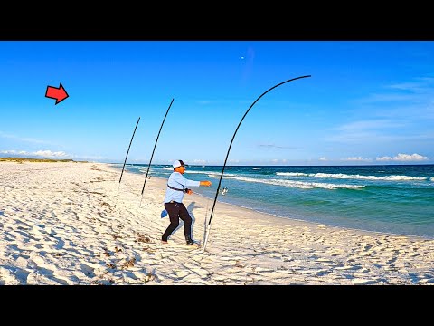 The Surf Fishing is on FIRE! (I Had to Ask for Help!)