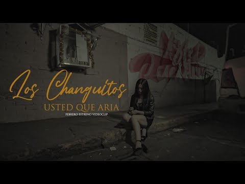 Usted que haría - Video Oficial - Los Changuitos | Chicos dk7 |