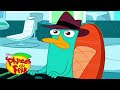 Phineas And Ferb Perry The Platypus Theme Song 10 Hours
