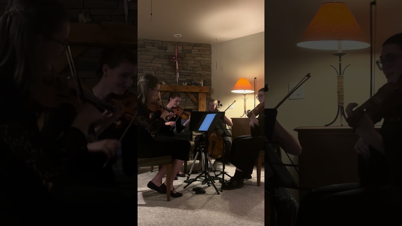 Promotional video thumbnail 2 for The Fiddlin’ Four
