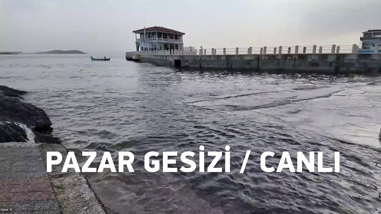 Bu ne biçim kış? / Canlı
