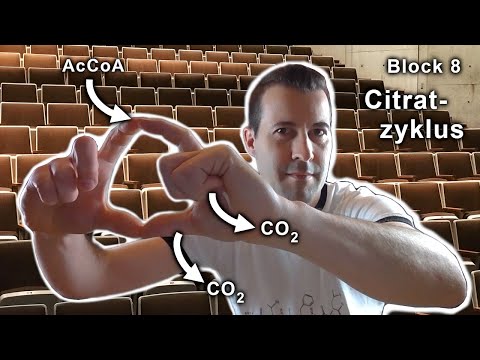 Grundvorlesung "Uni-Version" - Block 8: Citratzyklus und PDH