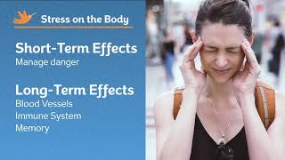 Effects of Stress | Elite ProCare Video Series