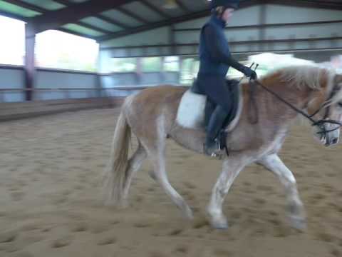 Snapple Video2 Dec 2016