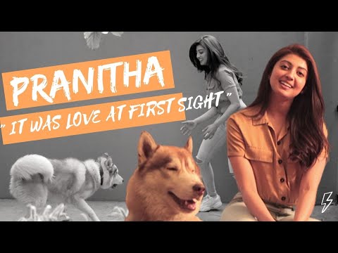 Pranitha's lover and their bond || Dog love || Coffee In A Chai Cup