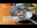 Wildseizoen van start: jagers mogen weer aan de gang