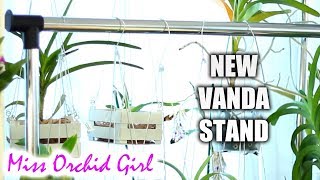 New Vanda Orchid stand from home improvement store