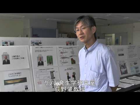 バイオデータサイエンス学科 アニマルバイオ紹介2