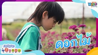 ดอกไม้ | ขบวนการ Fun น้ำนม